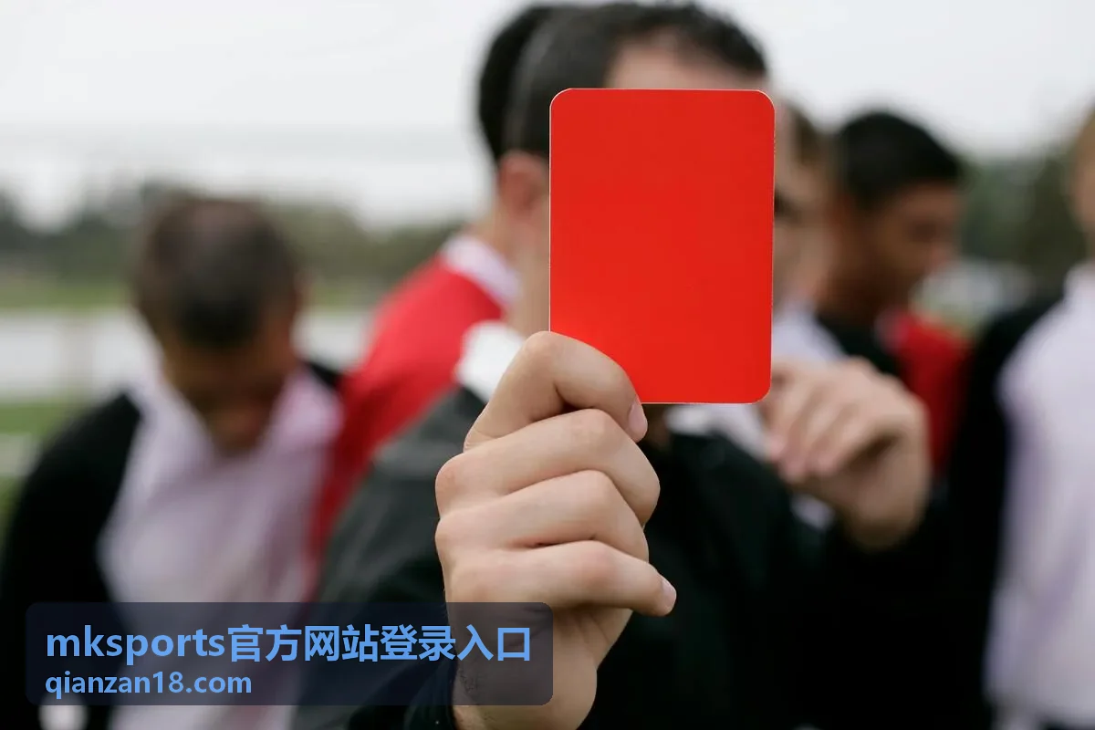 mksports官方网站登录入口 全场回放画面封面