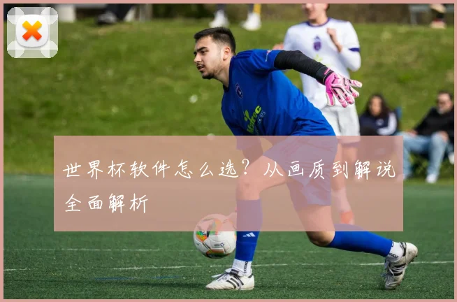 世界杯软件怎么选？从画质到解说全面解析